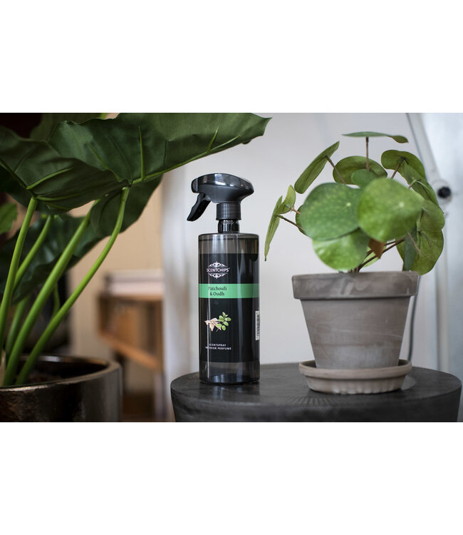 Scentchips® Spray d'intérieur White Sun - 750ml