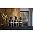 Scentchips® Vanilla & Fig fragrance diffusing oil - 50ml
