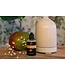 Scentchips® Pure Groen aroma diffuser