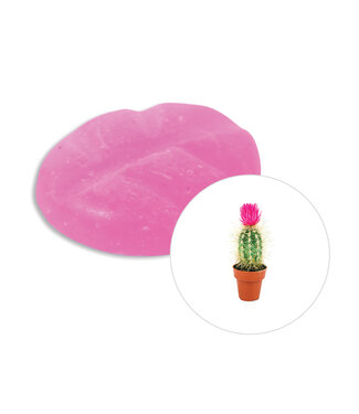 Scentchips® Cactusbloem geurchips