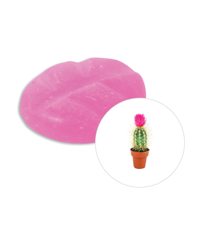 Scentchips® Cactus Flower wax melts