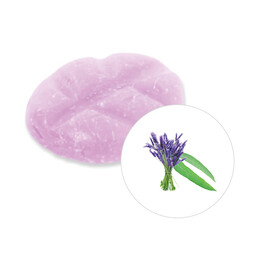 Scentchips® Eucalyptus & Lavender wax melts