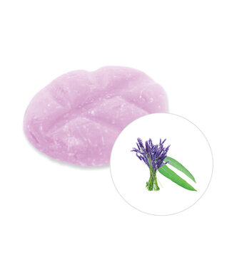 Scentchips® Eucalyptus & Lavendel geurchips