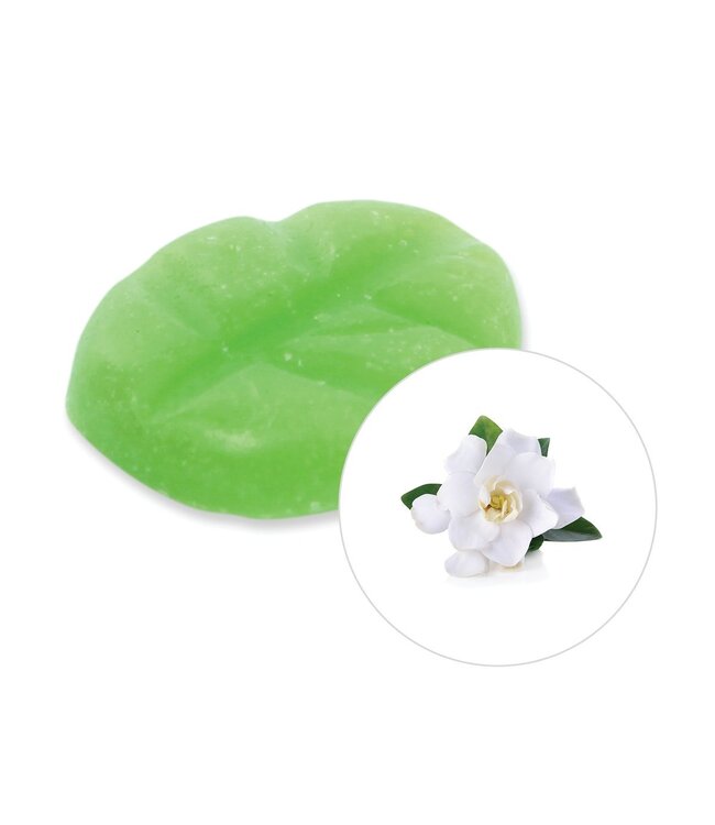 Scentchips® Gardenia wax melts