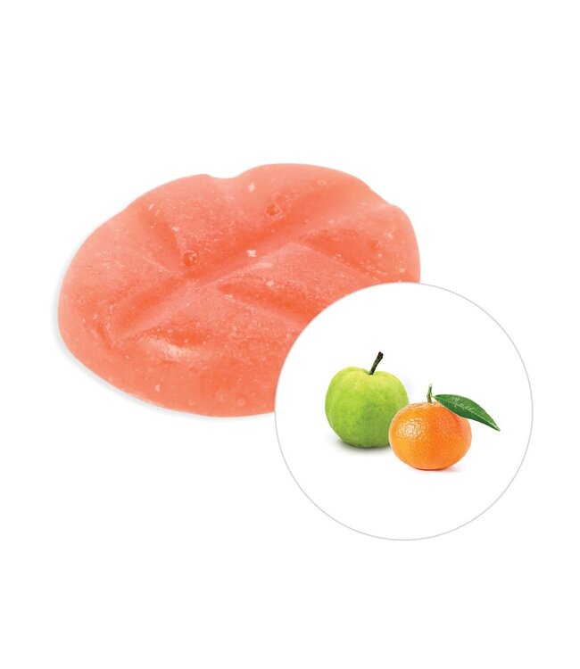 Scentchips® Guava Tangerine wax melts