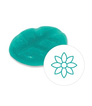 Scentchips® Intense Blossom wax melts XL