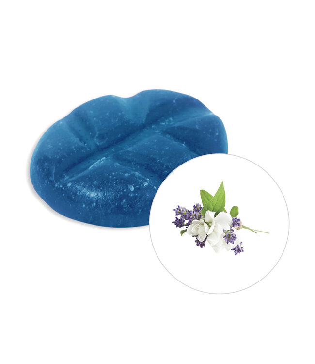 Scentchips® Lavendel & Jasmin Duftchips