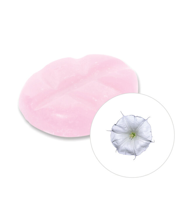 Scentchips® Moon Flower wax melts