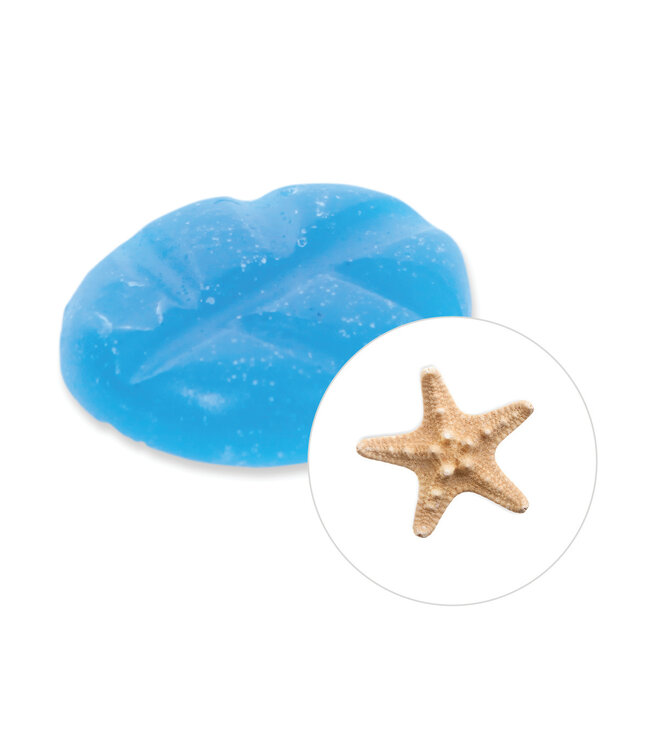 Scentchips® Oceaan geurchips