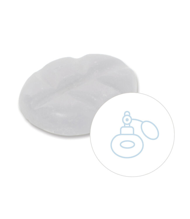 Scentchips® Ozone Stream wax melts