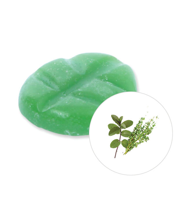 Scentchips® Fondants Parfumés Patchouli & Thyme