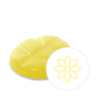 Scentchips® Sparkling Leaves wax melts XL