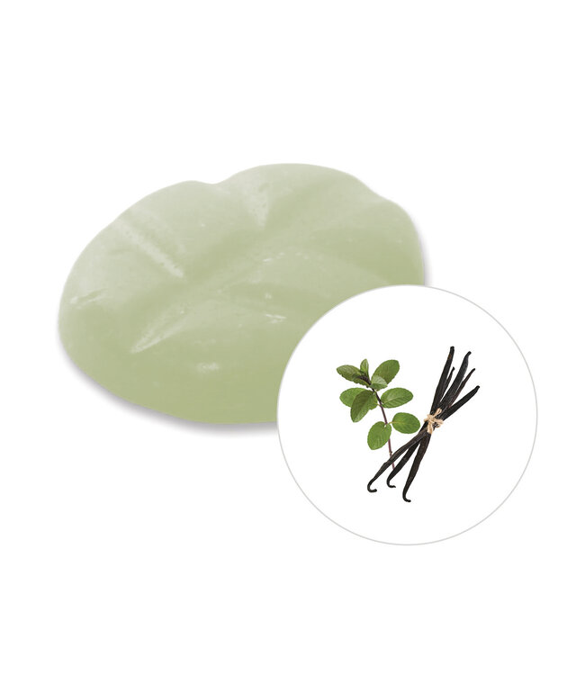 Scentchips® Fondants Parfumés Vanilla Patchouli