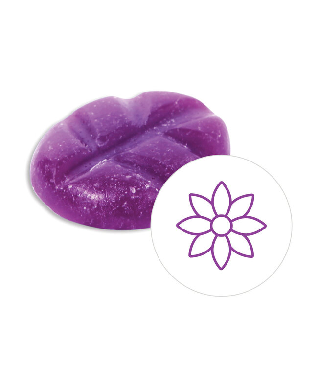 Scentchips® Violet Sky wax melts XL