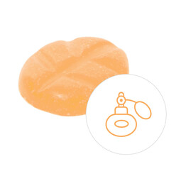 Scentchips® Orange & Basil geurchips XL