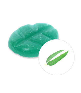 Scentchips® Eucalyptus wax melts