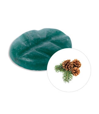 Scentchips® Winter Woods wax melts