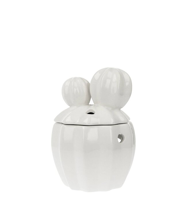 Scentchips® Cactus White scented wax burner