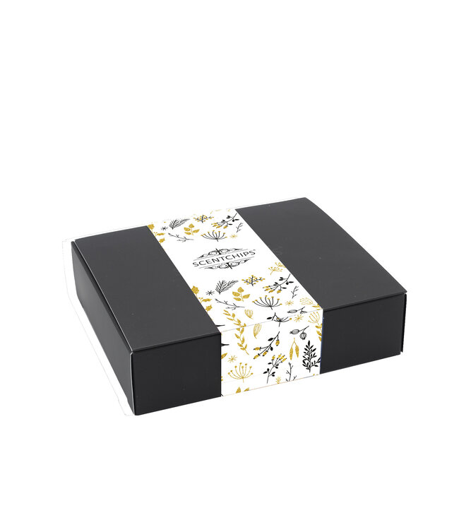 Scentchips® Perfume Specials gift set 36 scented wax melts