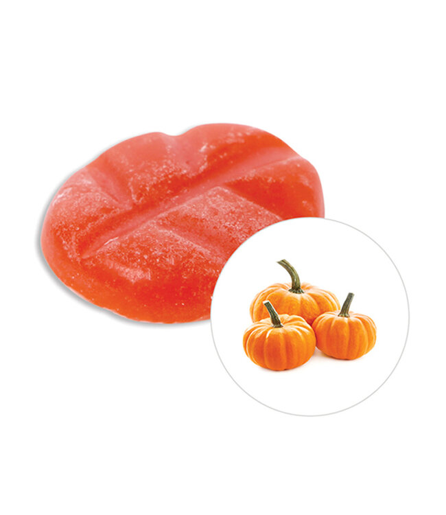 Scentchips® Pumpkin wax melts