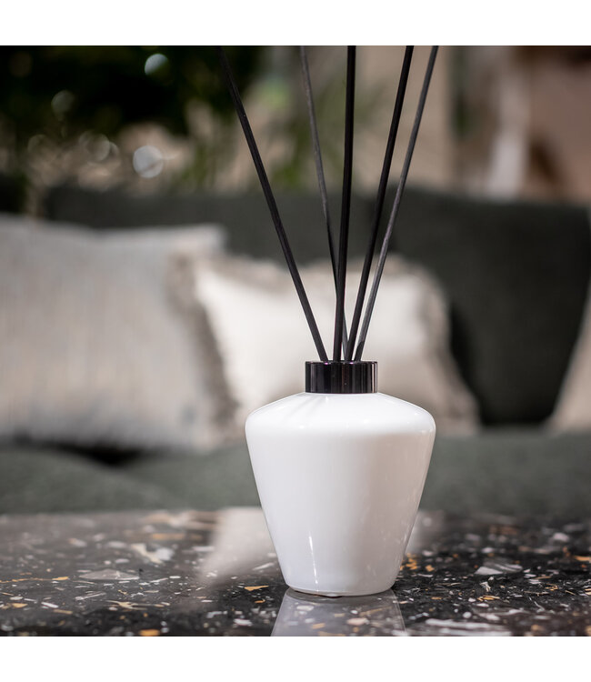 Scentchips® Flacon Bâtonnets diffuseurs en verre Cone Brillant Blanc - Anneau Noir