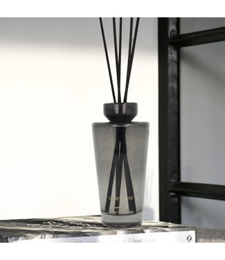 Scentchips® Reed diffuser set Cone Secret de Paris - 500ml