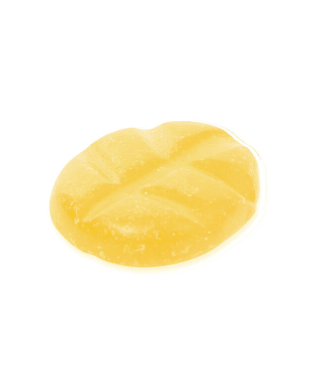 Scentchips® Indian Fig wax melts XL