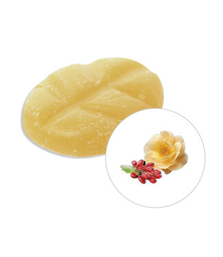 Scentchips® Goji & Amber wax melts