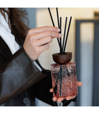 Scentchips® Kit Bâtonnets Diffuseurs Parfumés Stars Flowers & Dates - 200ml