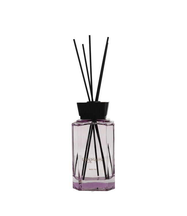 Scentchips® Duftstäbchen-Set Quadra Belle Vie - 500ml