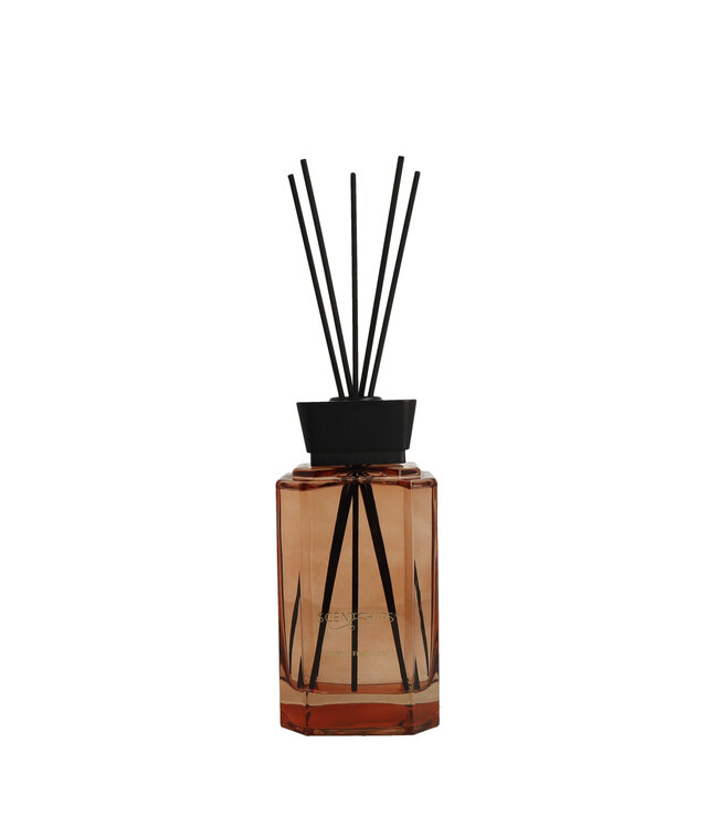 Scentchips® Kit Bâtonnets Diffuseurs Parfumés Quadra Musk & Fresh Wood - 500ml