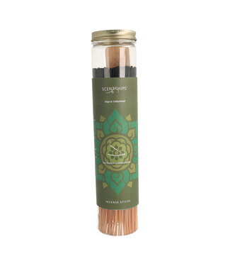 Scentchips® Wierook Sticks Sage & Cedarwood – 100 Sticks met Wierookhouder
