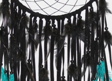 Dromenvangers Dromenvangers