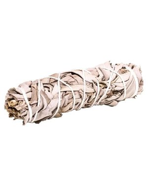  Witte Salie Smudge S (±10cm)