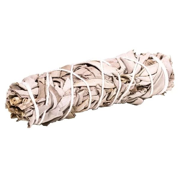 Witte Salie Smudge S (±10cm) | Hip-pie