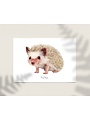 Ferdy Remijn Postkaart Hedgehog - Ferdy Remijn