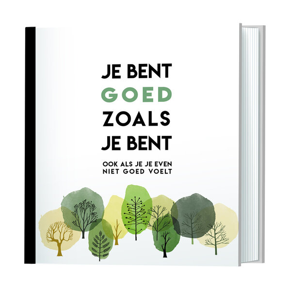Lantaarn Boek Je bent goed zoals je bent |  Lantaarn