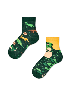 Mismatched Sokken Kindersokken The Dinosaurs By Many Mornings