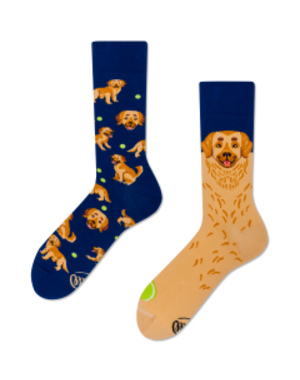 Mismatched Sokken Sokken Golden Boy by Many Mornings