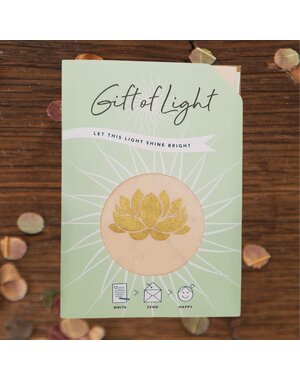 Koperberg Arts & Crafts Gift of Light | Lotus