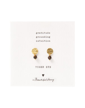 A Beautiful Story Oorbellen Mini Coin Tiger Eye goud