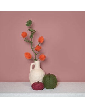 Sjaal met Verhaal Vilt bloem  Tak Physalis lampion