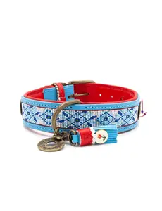 Dog With A Mission (DWAM) Honden halsband Dutchie