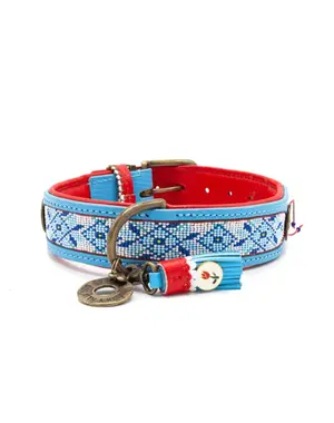 Dog With A Mission (DWAM) Honden halsband Dutchie