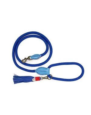 Dog With A Mission (DWAM) Hondenriem Dutchie