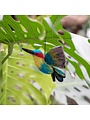 Sjaal met Verhaal Vogel Kolibri