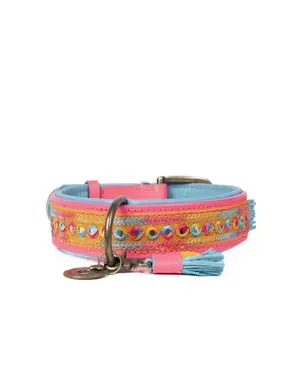 Dog With A Mission (DWAM) Indian summer