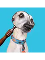 Dog With A Mission (DWAM) Honden halsband Urban Jones