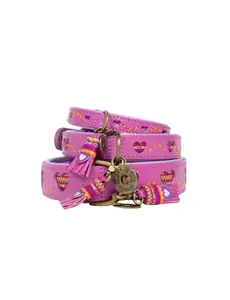 Dog With A Mission (DWAM) Honden halsband Spicy