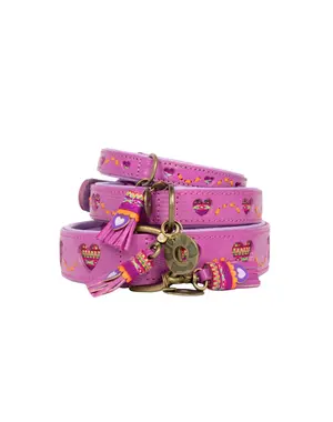 Dog With A Mission (DWAM) Honden halsband Spicy